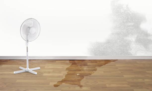 Best Flood restoration services  in Perkasie, PA
