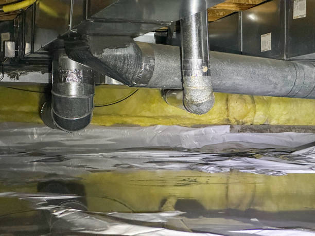 Best Mold removal after water damage  in Perkasie, PA