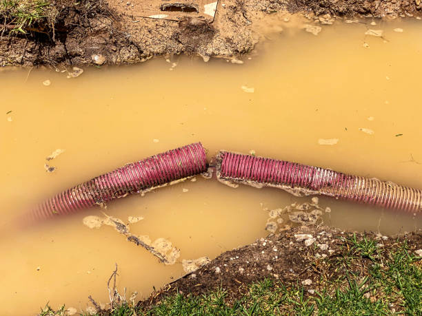 Best Local water damage restoration  in Perkasie, PA